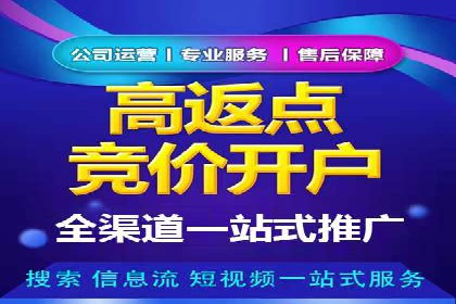 竞价广告案例分析：跨媒体广告投放策略